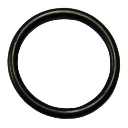 O-RING di tenuta per testa...