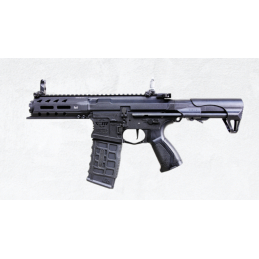 ARP556 V2S G&G