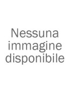 Fucili a pompa